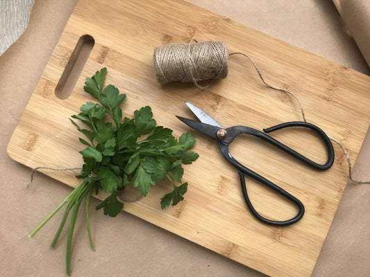 2 ways to preserve herbs for winter