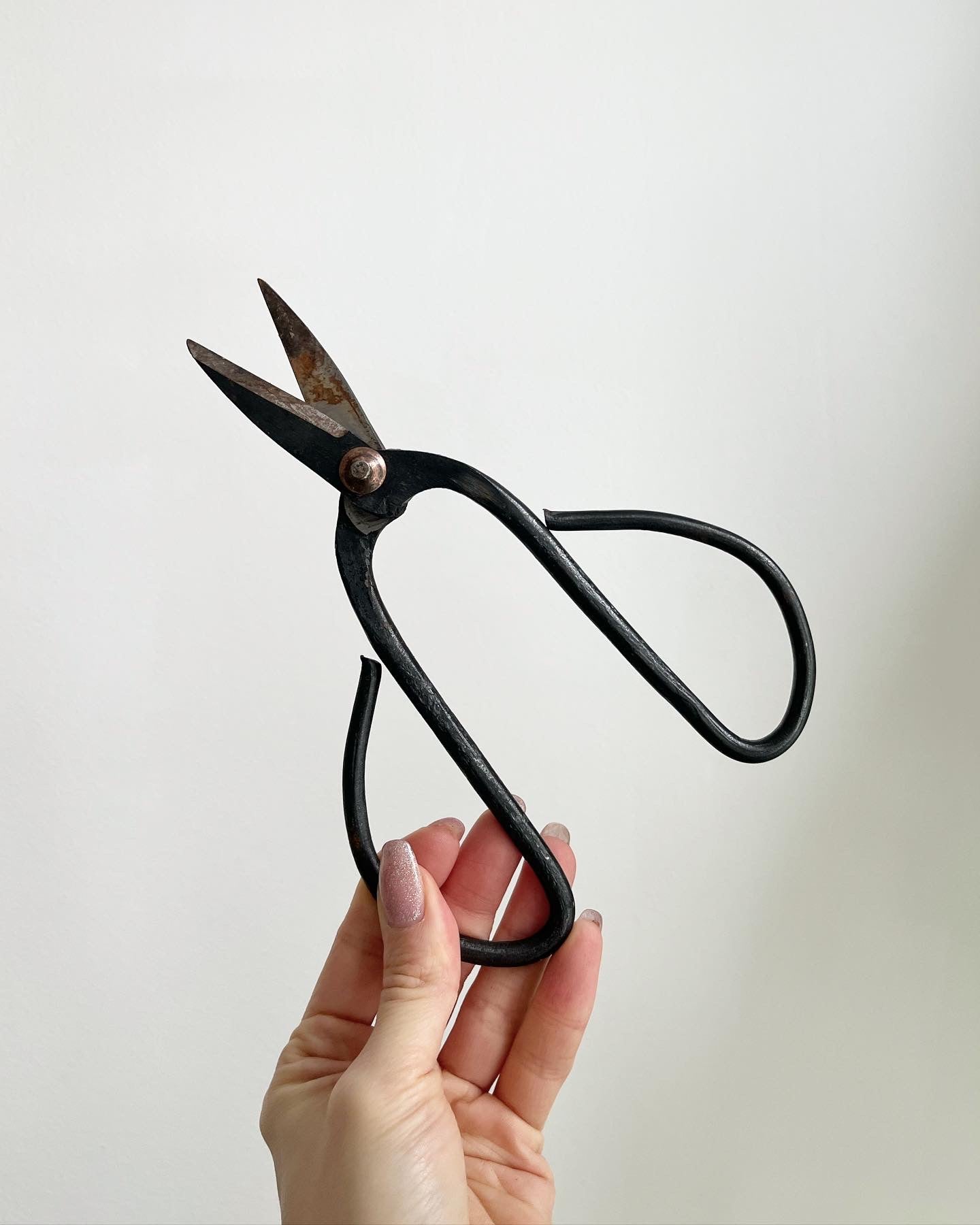 Shears