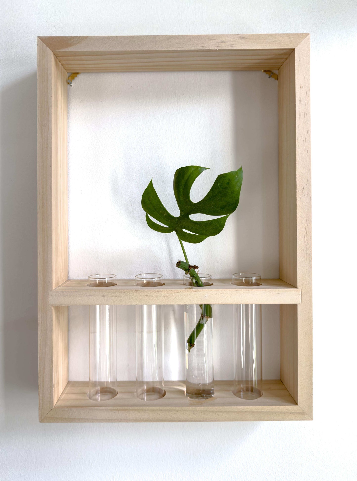 Plant propagation frame