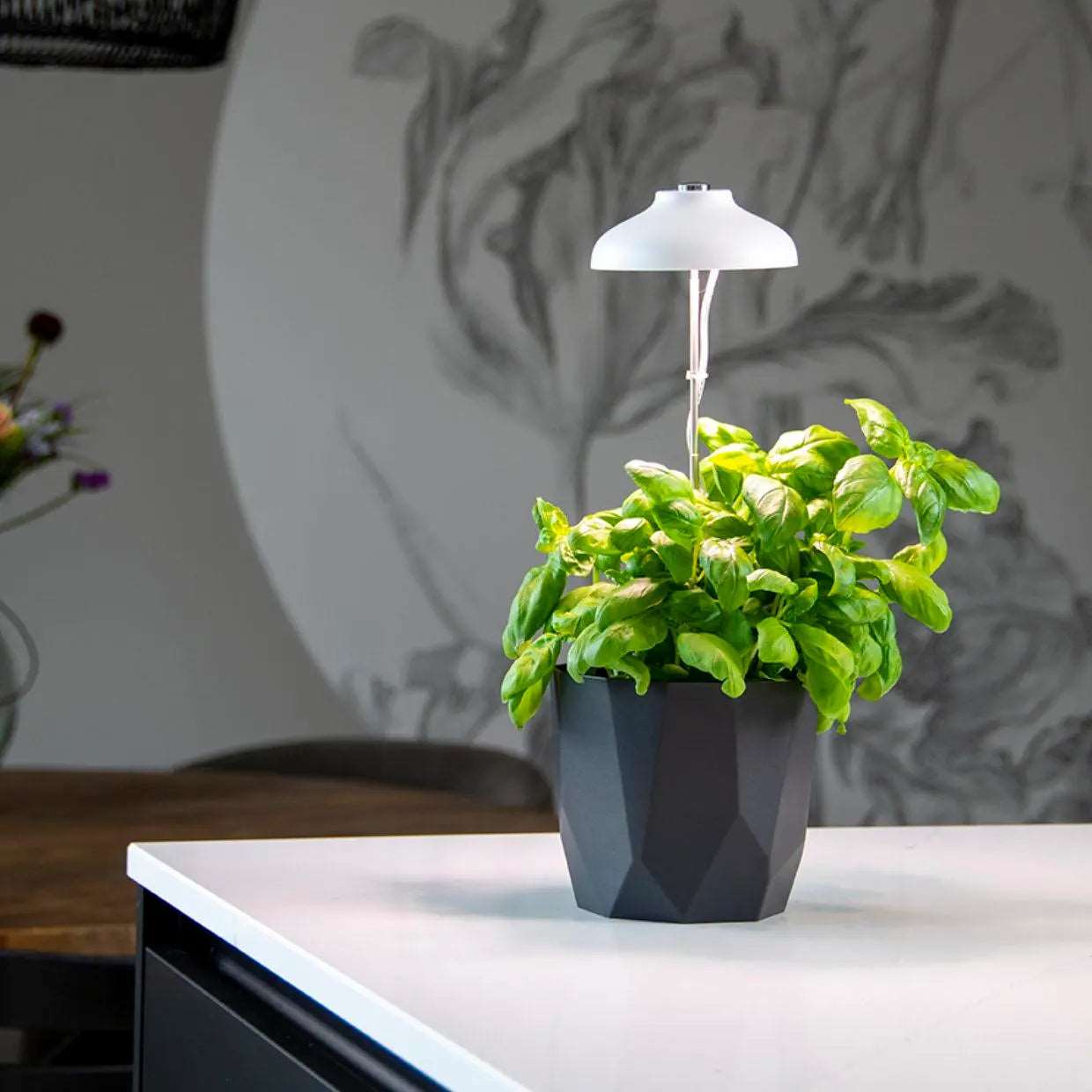 shop lights for growing plants Plant Grow Light Stick – Seedor