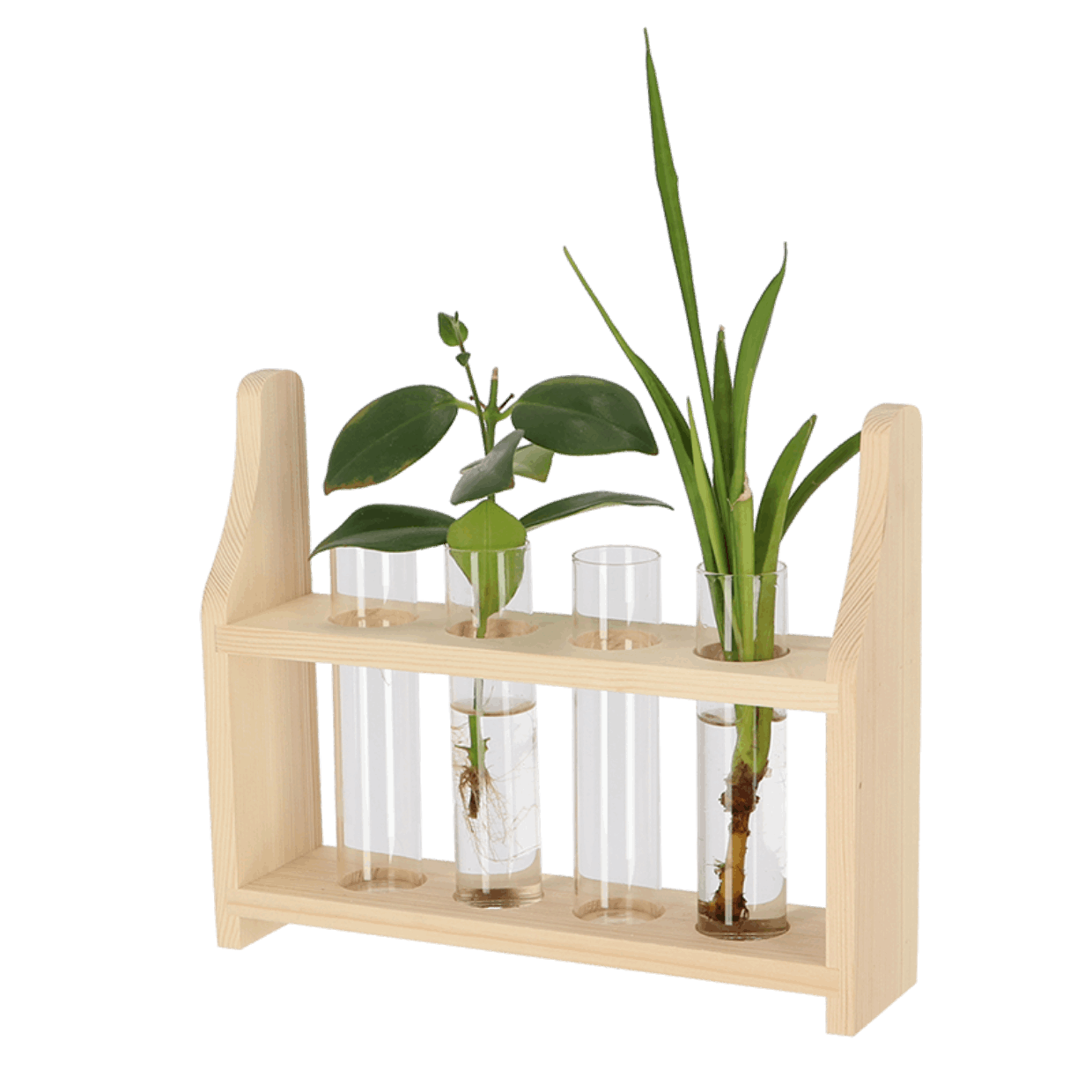 Plant propagation stand