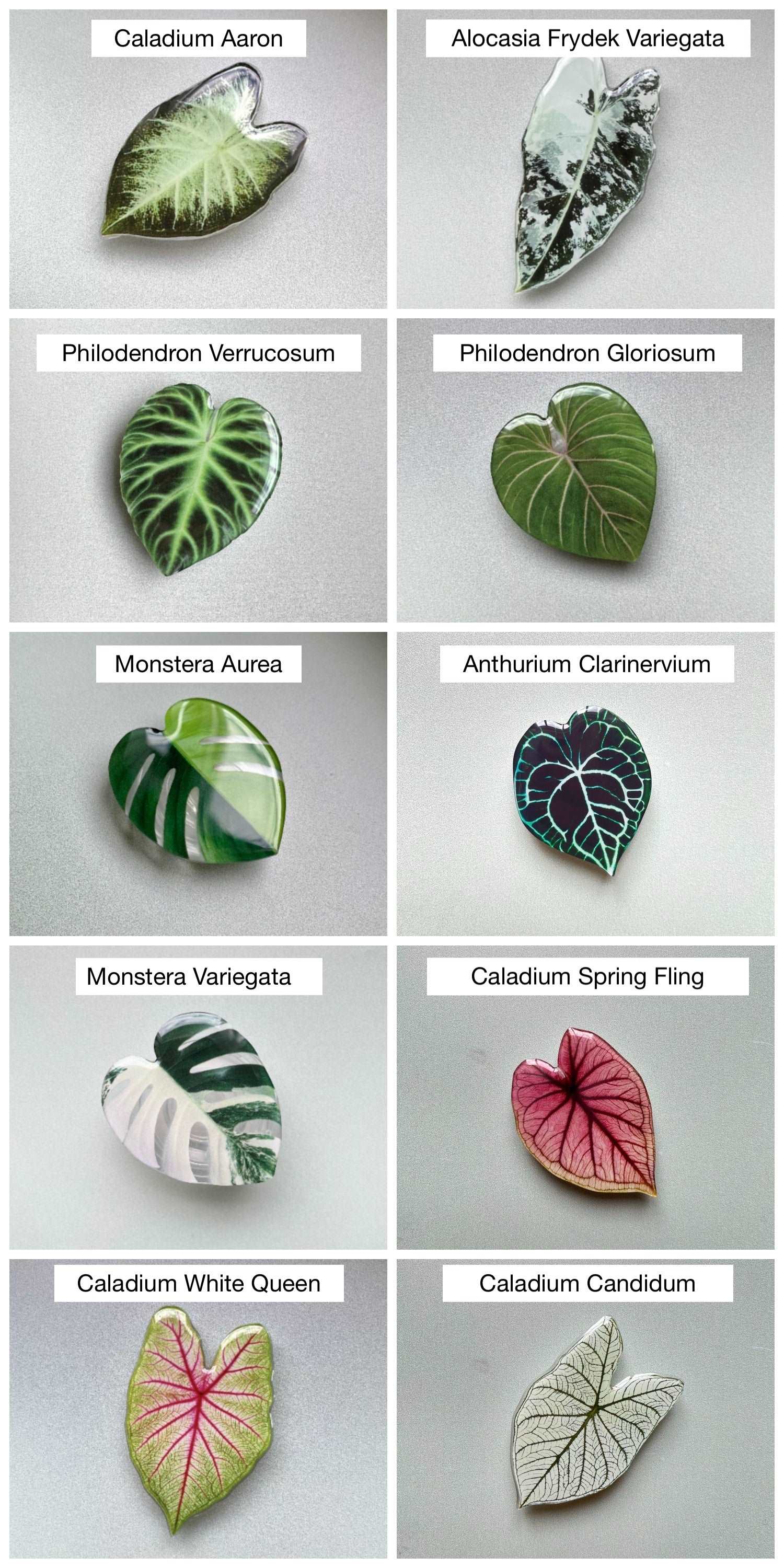 Plant Phone Grip