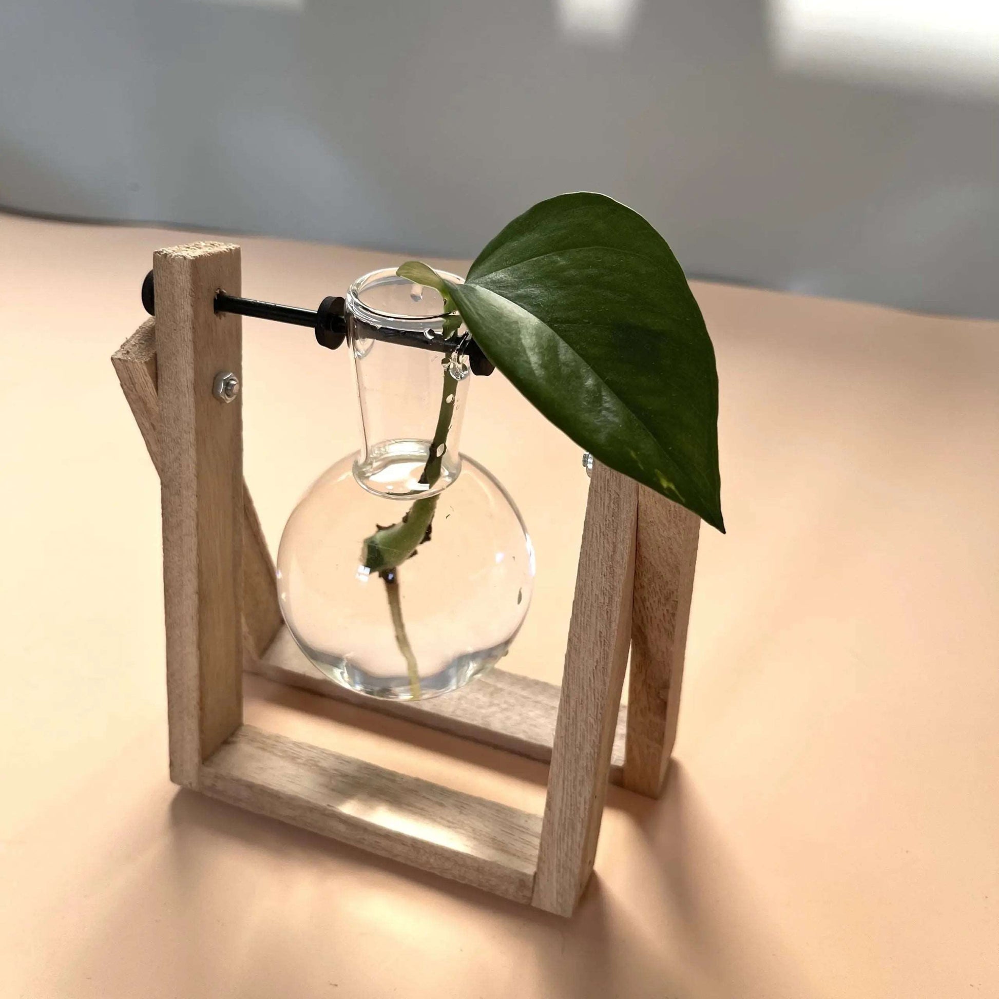 Cuttings Stand - Glass Bulbs on Wooden Frame - Seedor