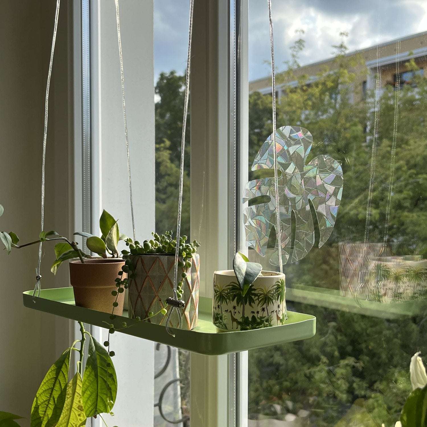 hanging plant rod Hanging Tray for Plants – Seedor