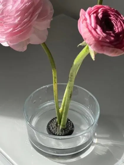 Ikebana Bowl - Seedor