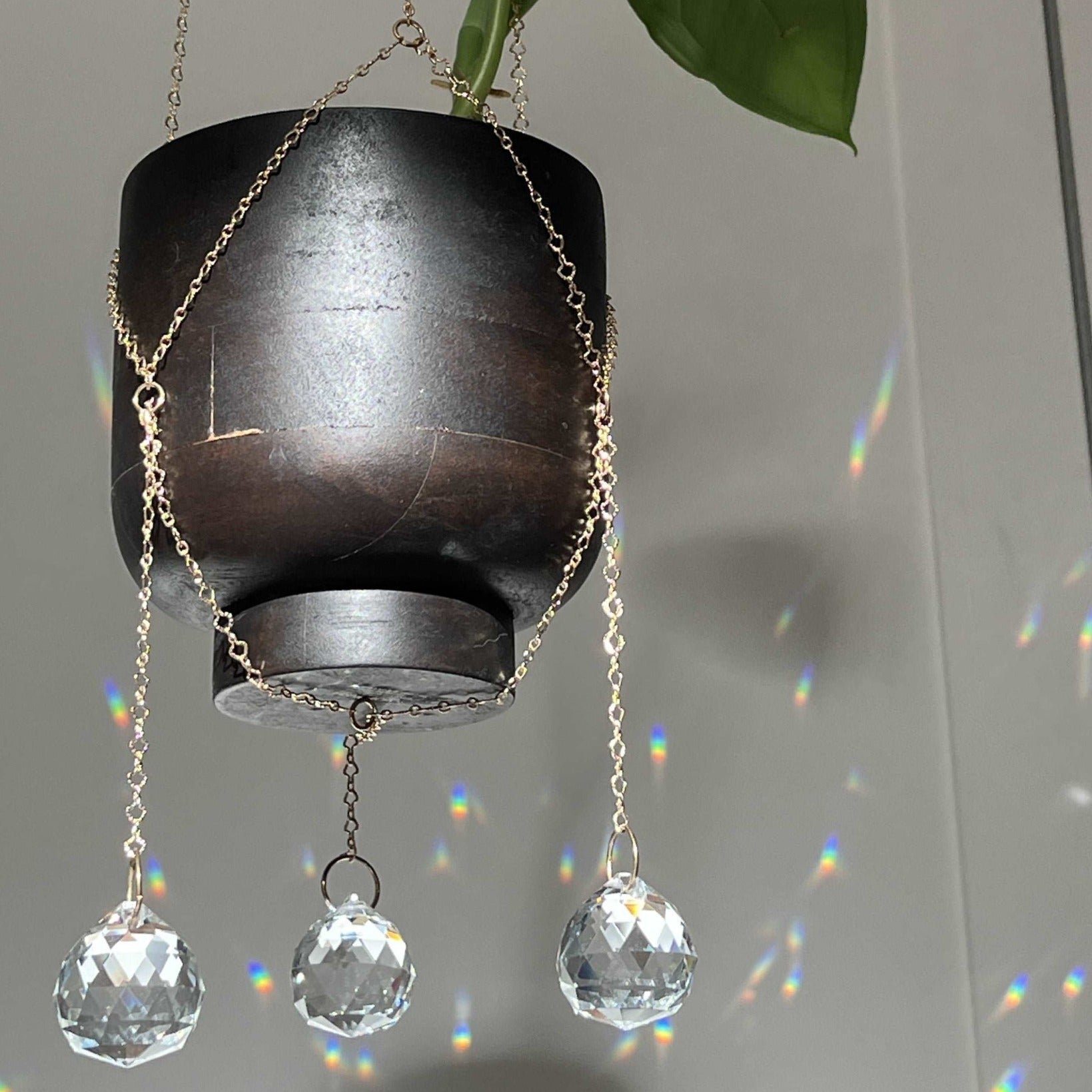 Plant hanger suncatcher of seedor.store