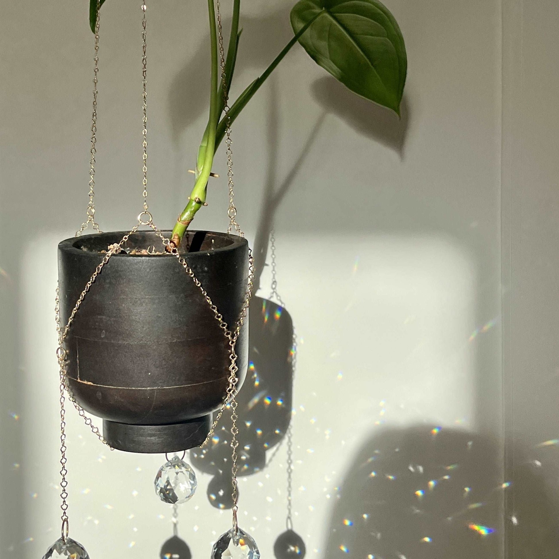 Plant hanger suncatcher of seedor.store