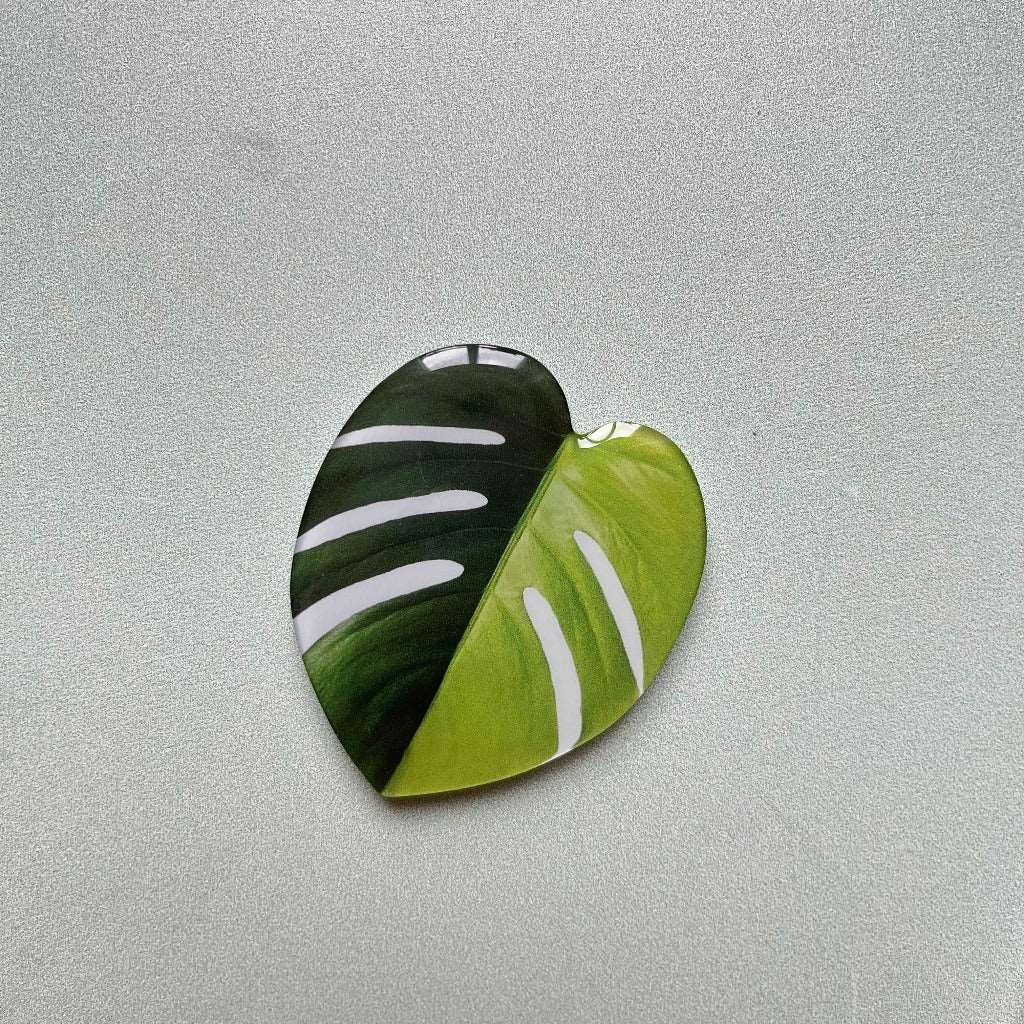 Plant Leaf Magnet