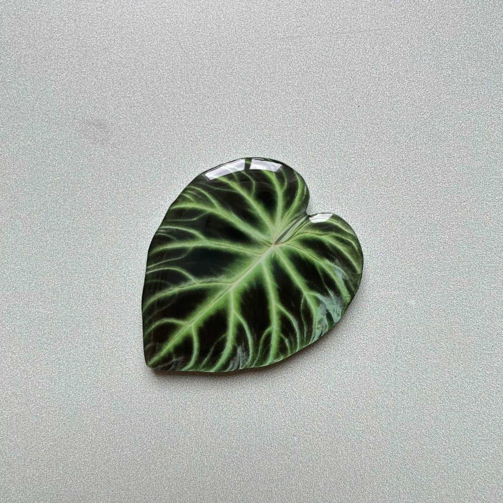 Plant Leaf Magnet
