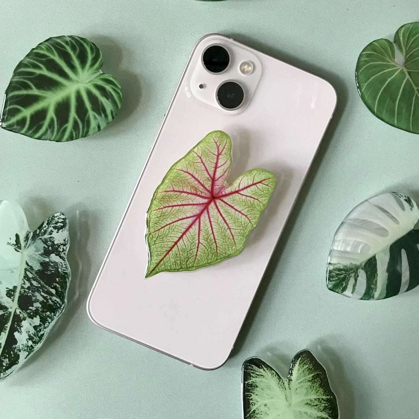 Plant Phone Grip - Seedor