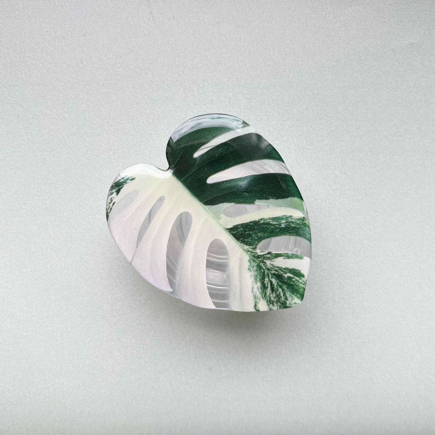 Plant Phone Grip monstera variegata - Seedor