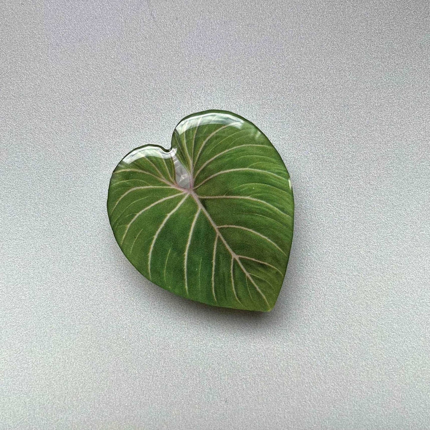 Plant Phone Grip philodendron gloriosum - Seedor