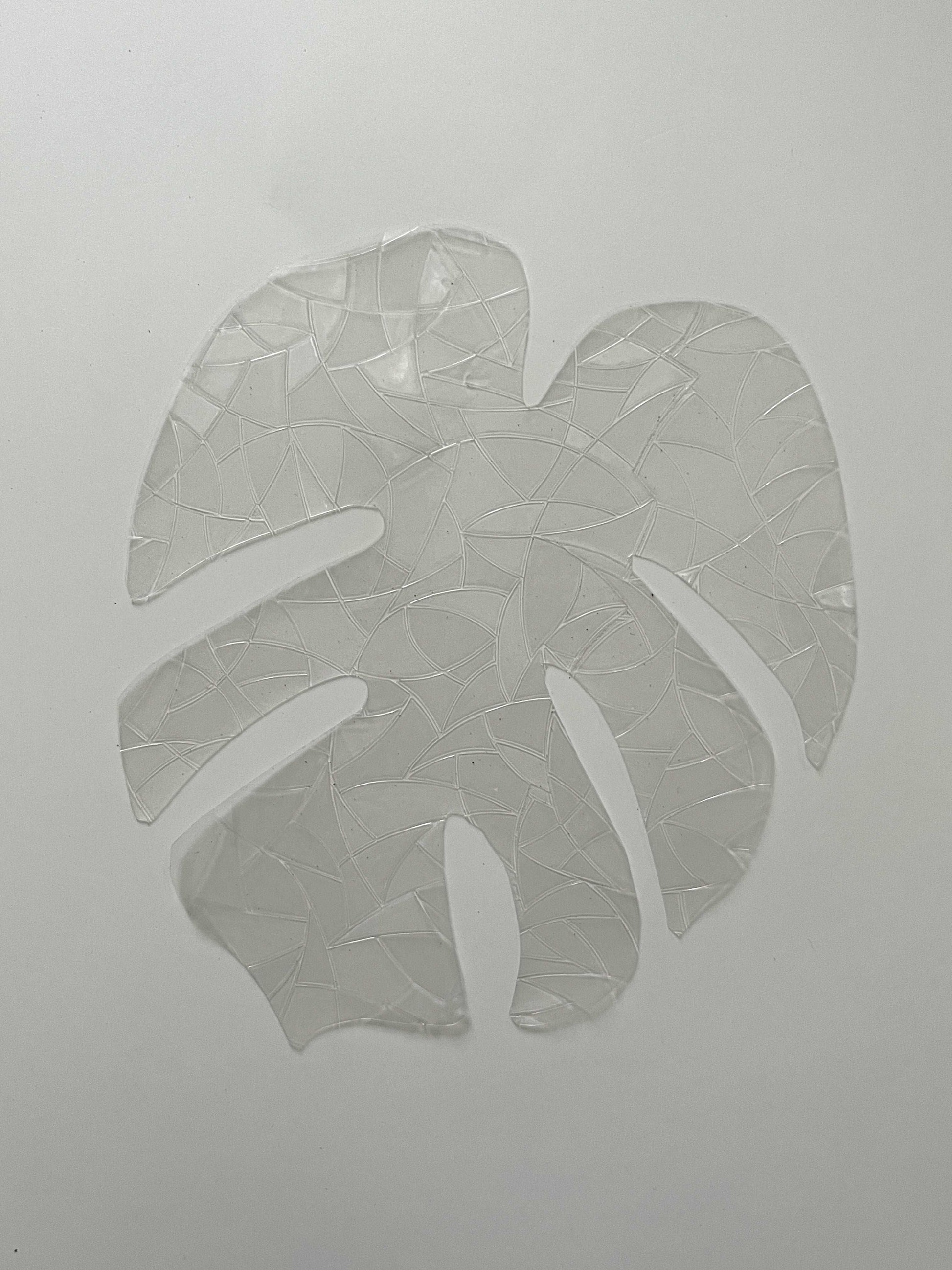 Suncatcher window sticker monstera leaf seedor