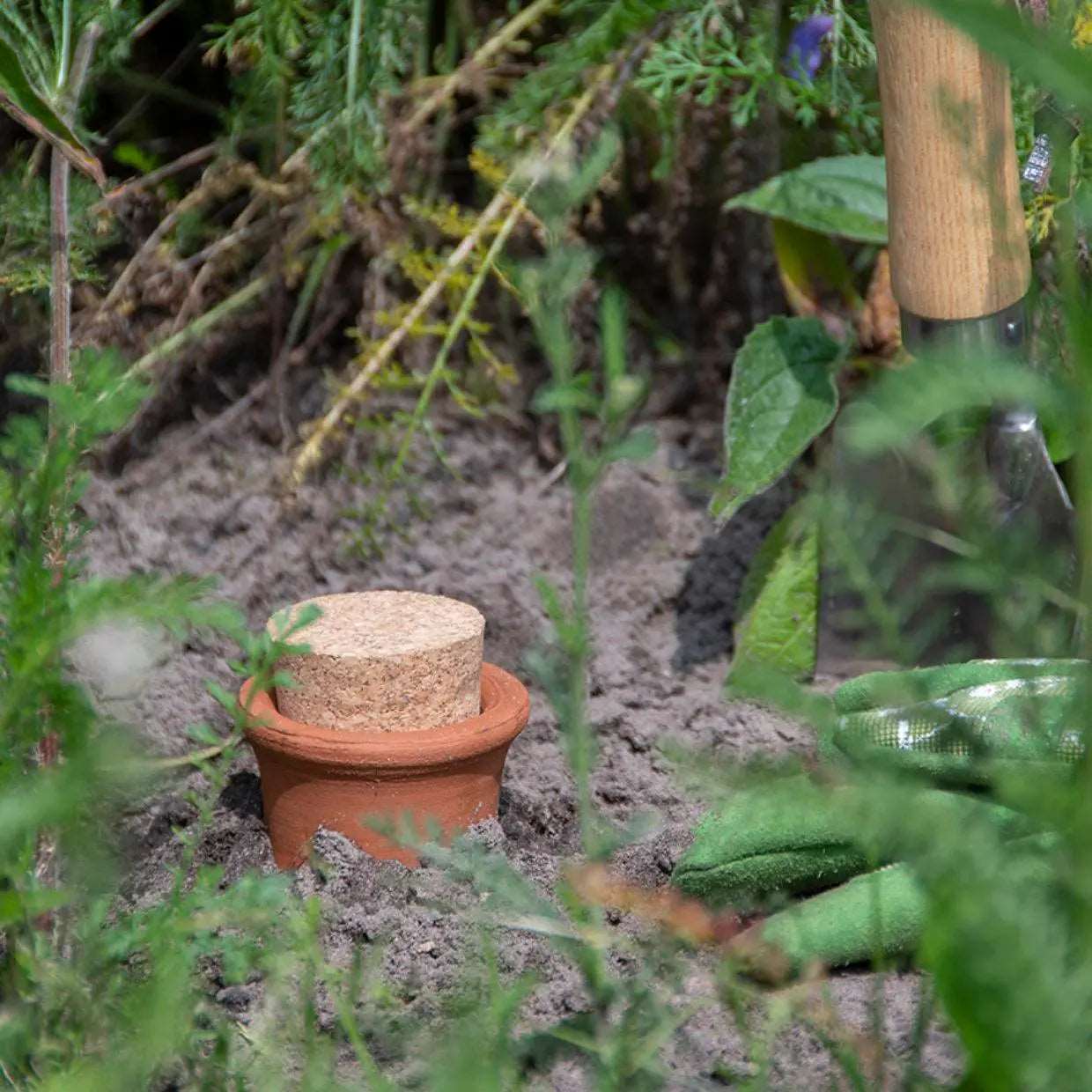 Watering Vase "Olla" - Seedor