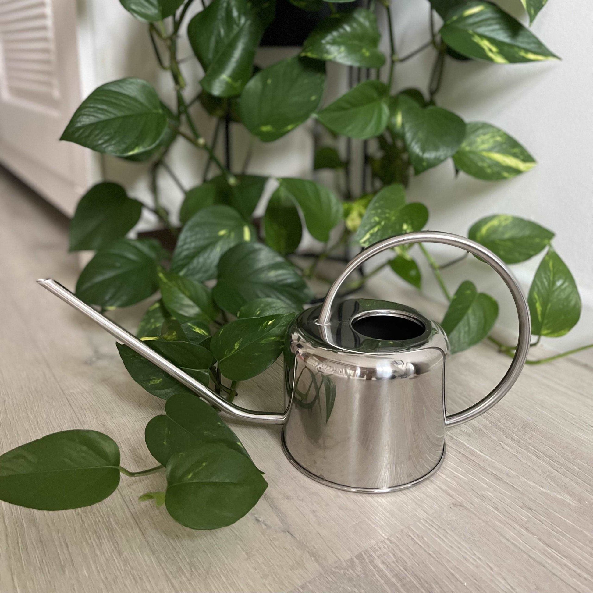 Watering Can 1L - Seedor