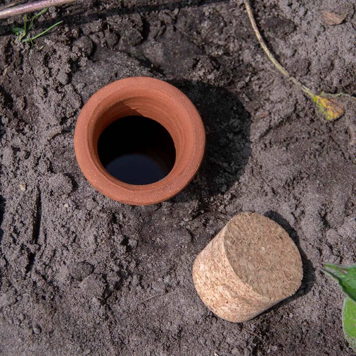 Watering Vase "Olla" - Seedor