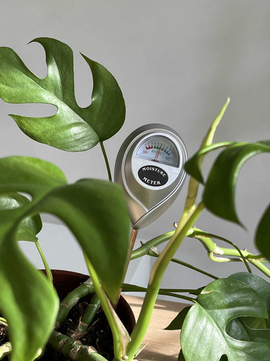 Hygrometer