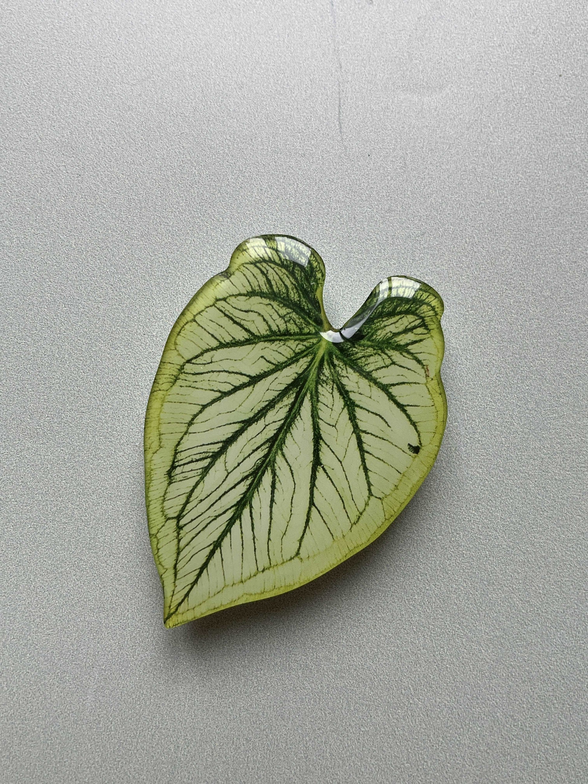 Plant Phone Grip