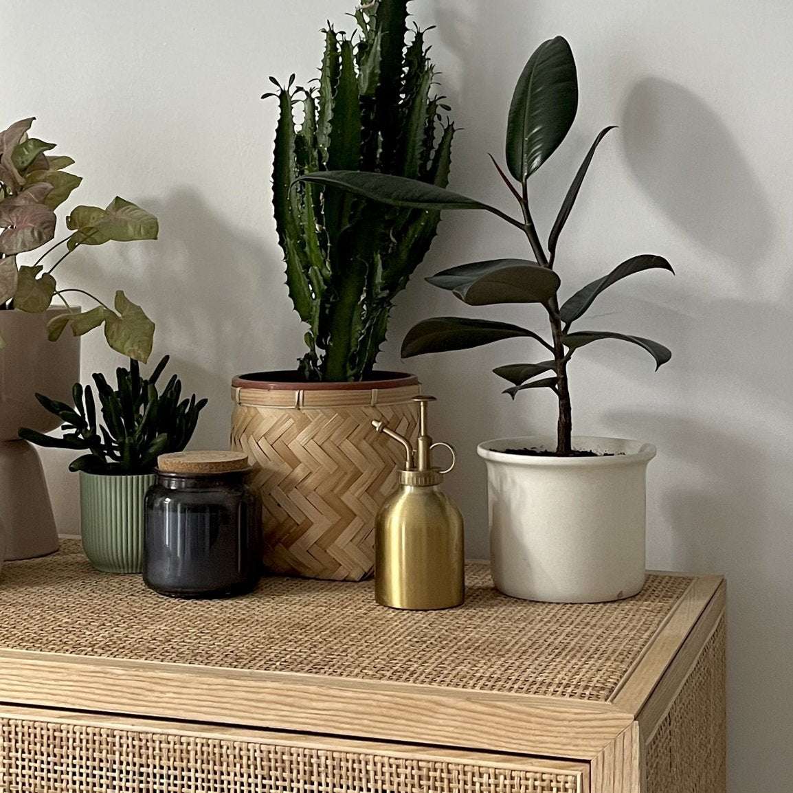 Plant Mister - Aluminium