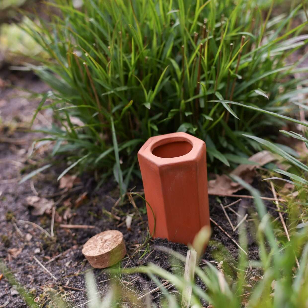 Automatic Watering Spike
