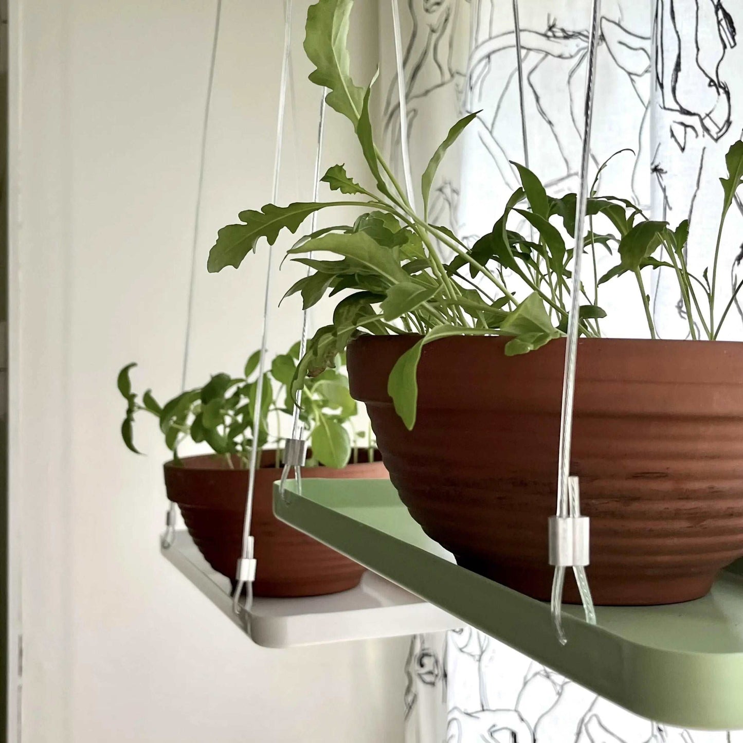 Rectangular Hanging Tray for Plants - Seedor
