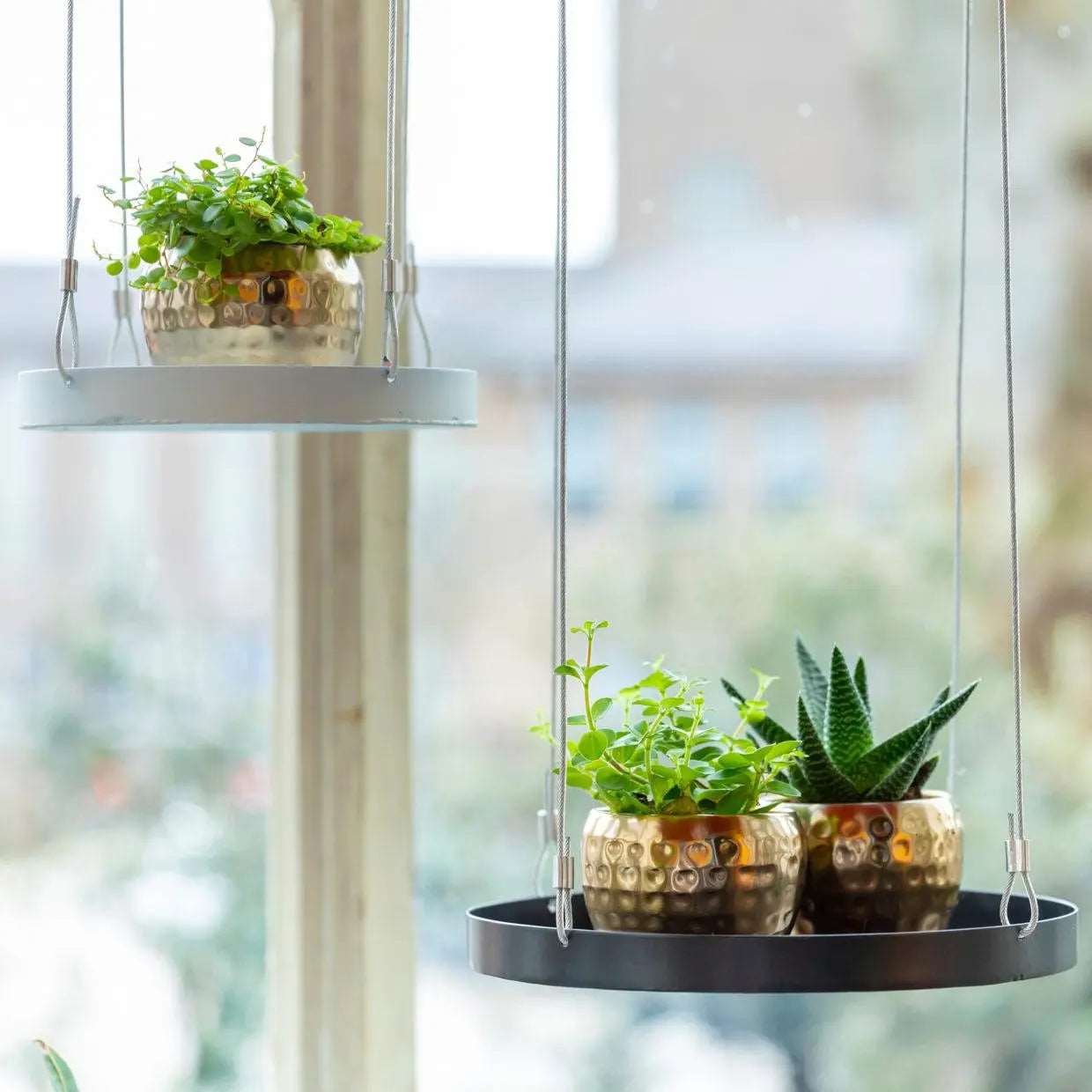 Round Hanging Tray for Plants - Small - Seedor