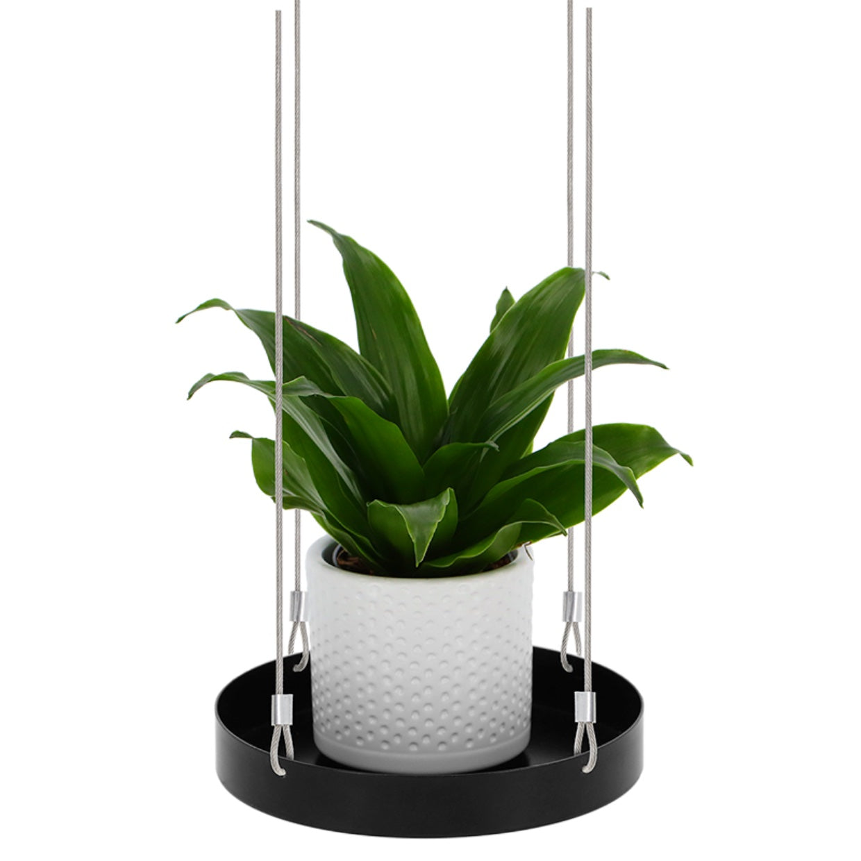 Round Hanging Tray for Plants - Small - Seedor
