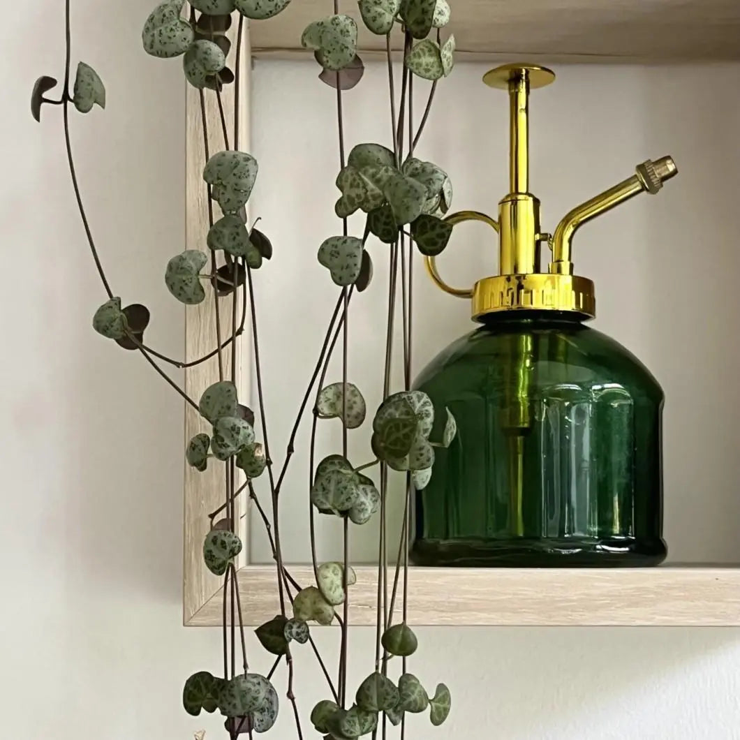 Plant Mister - Green Glass - Seedor