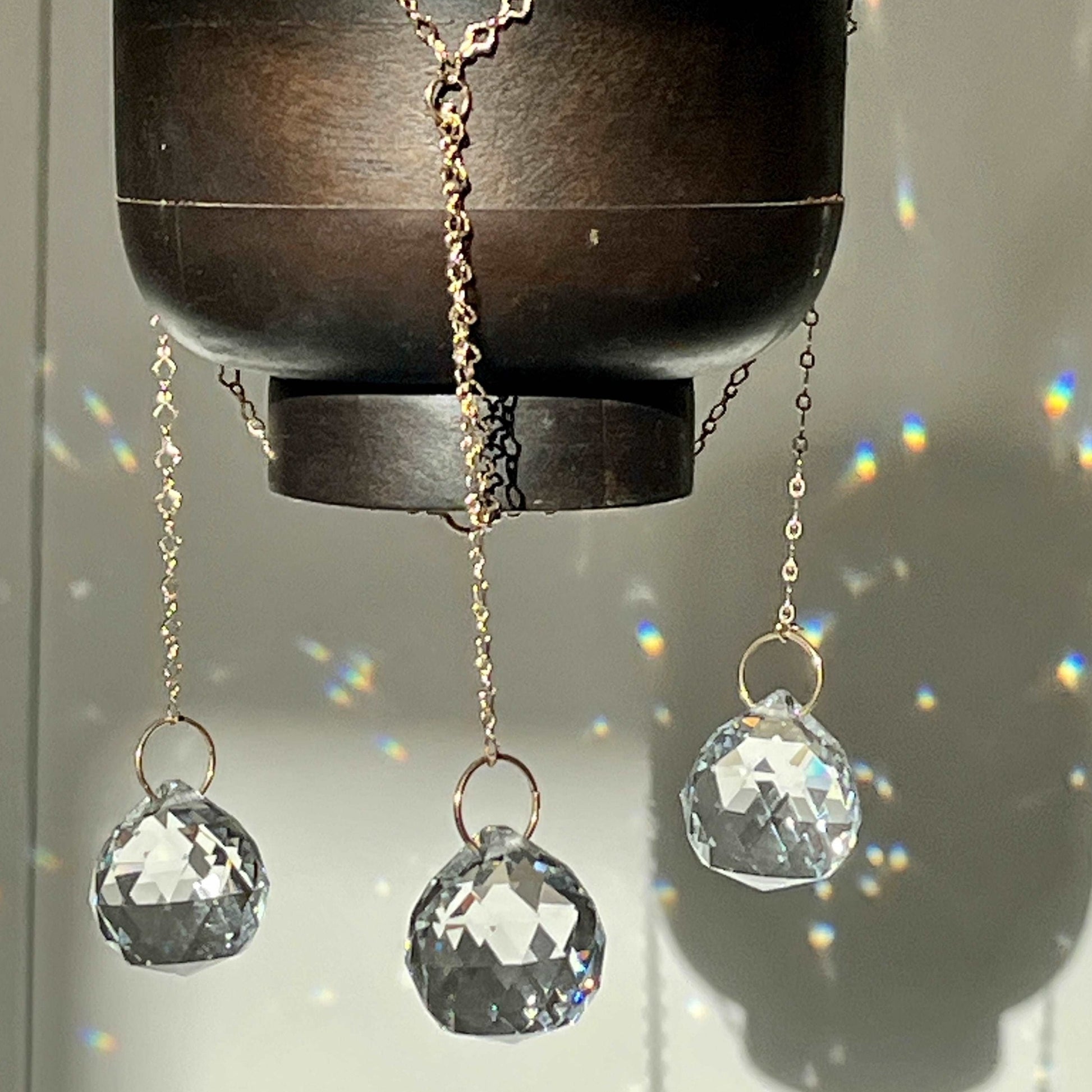 Plant hanger suncatcher of seedor.store
