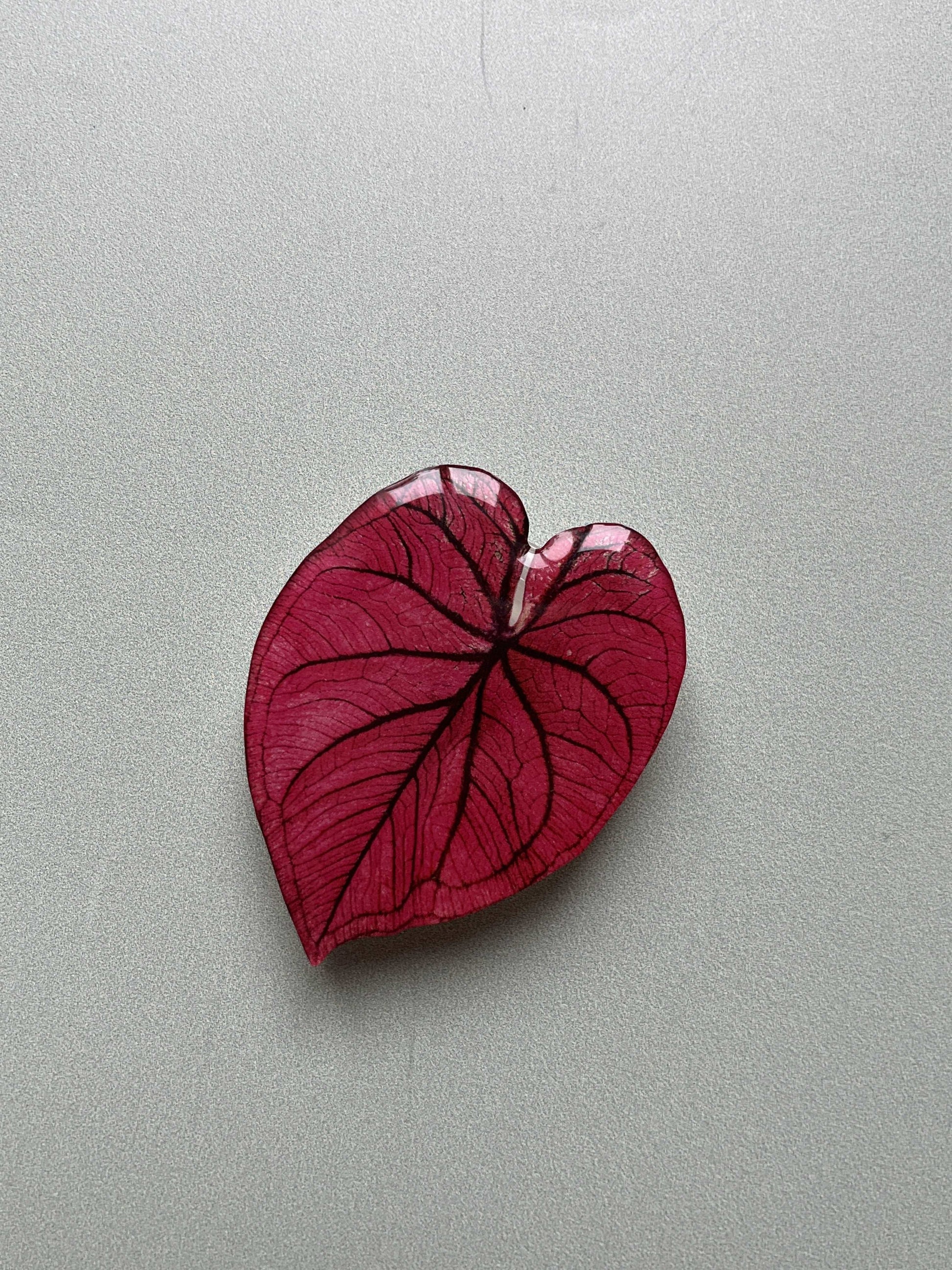 Plant Phone Grip