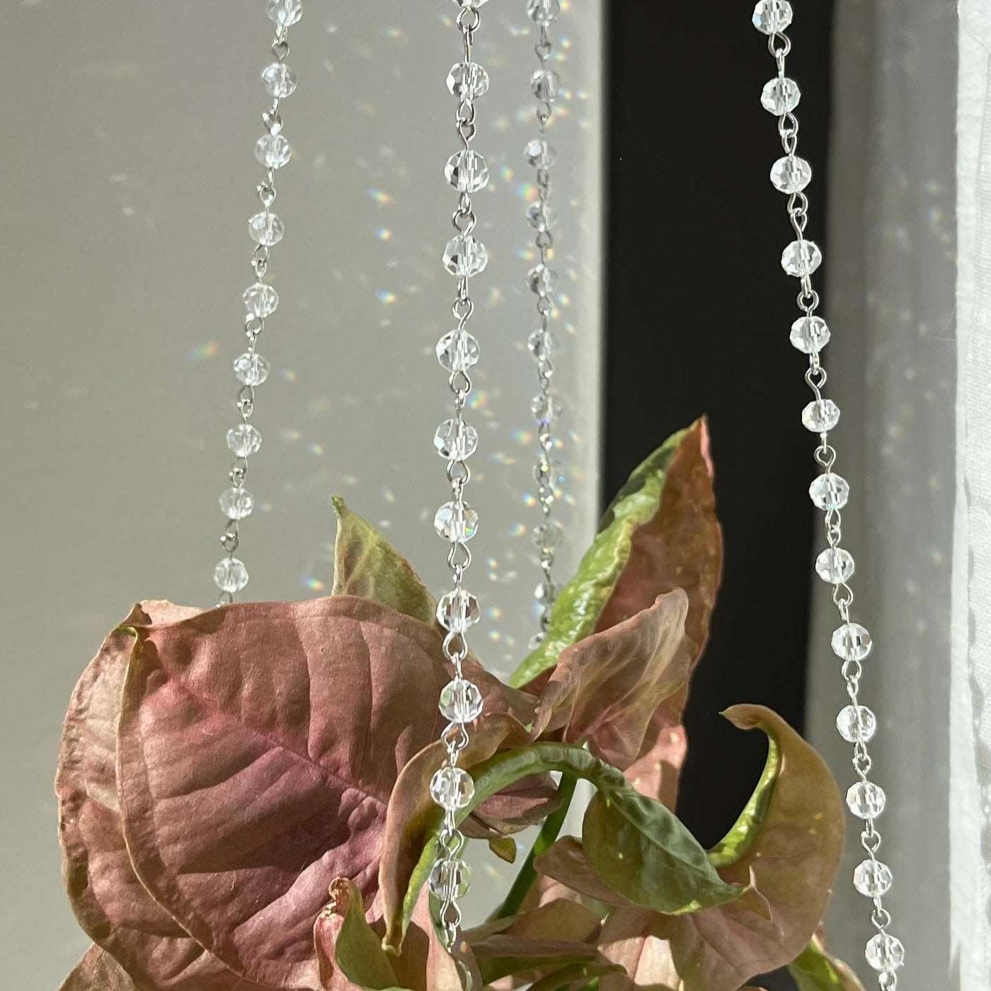 Plant Hanger Chandelier