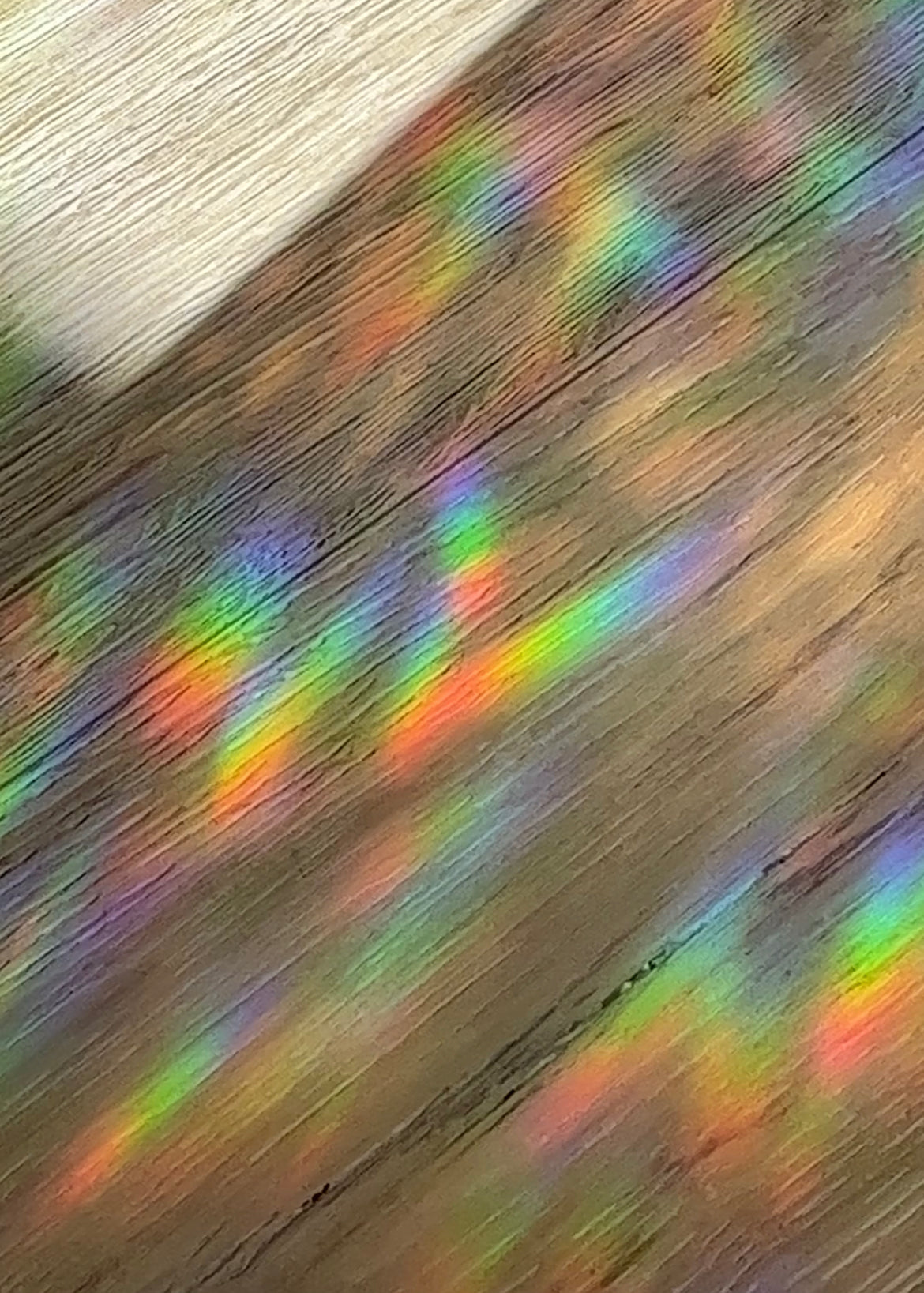suncatcher rainbows seedor.store