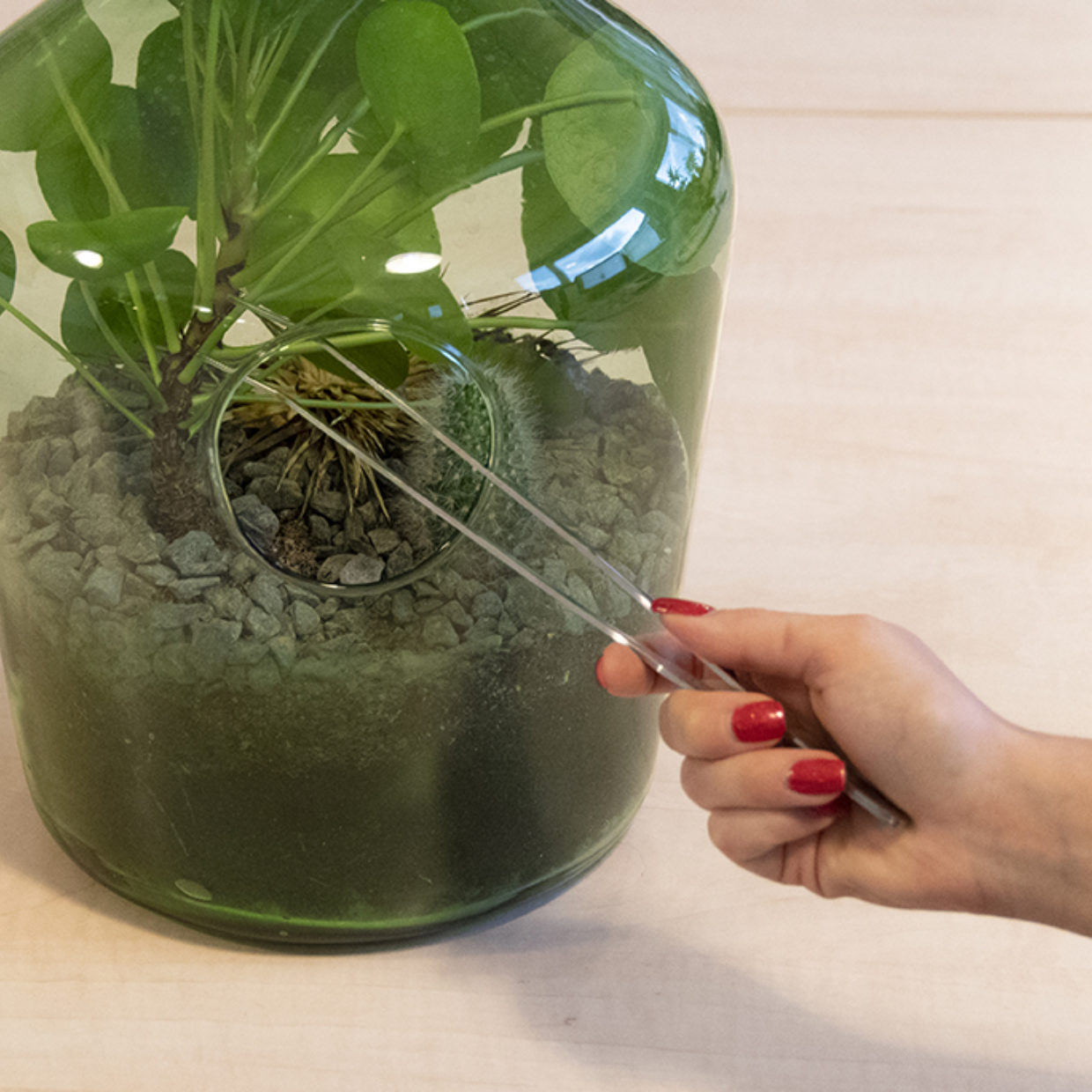 Terrarium tweezer