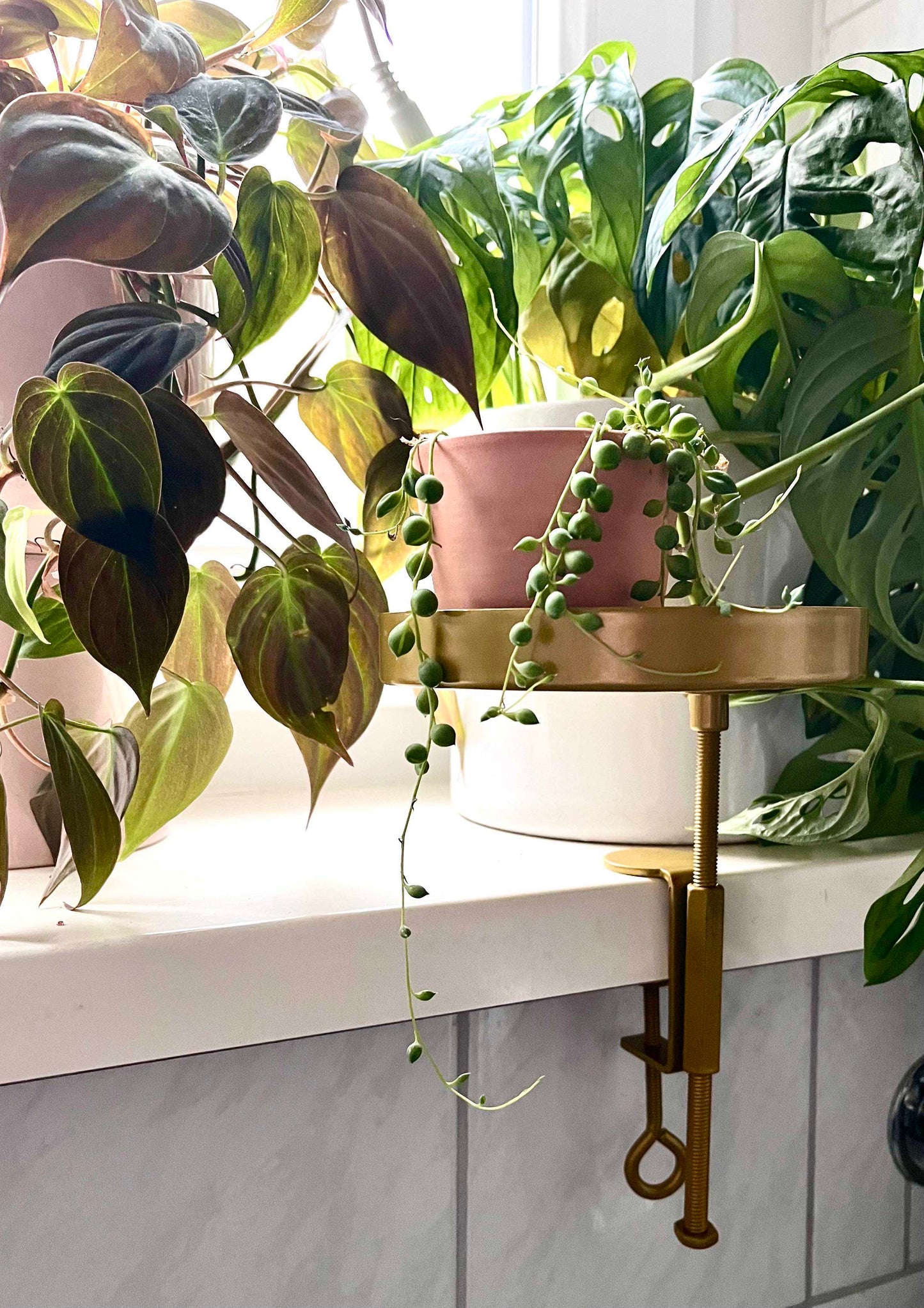 Round Windowsill Clamp Tray for Plants - Small - Seedor