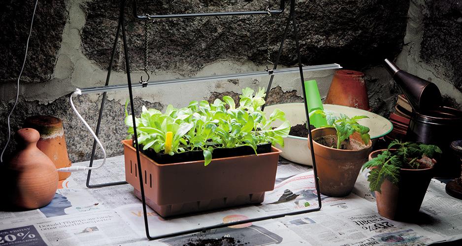 plant grow light stands Grow Light Stand – Seedor