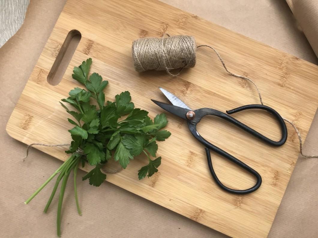 Shears - Seedor