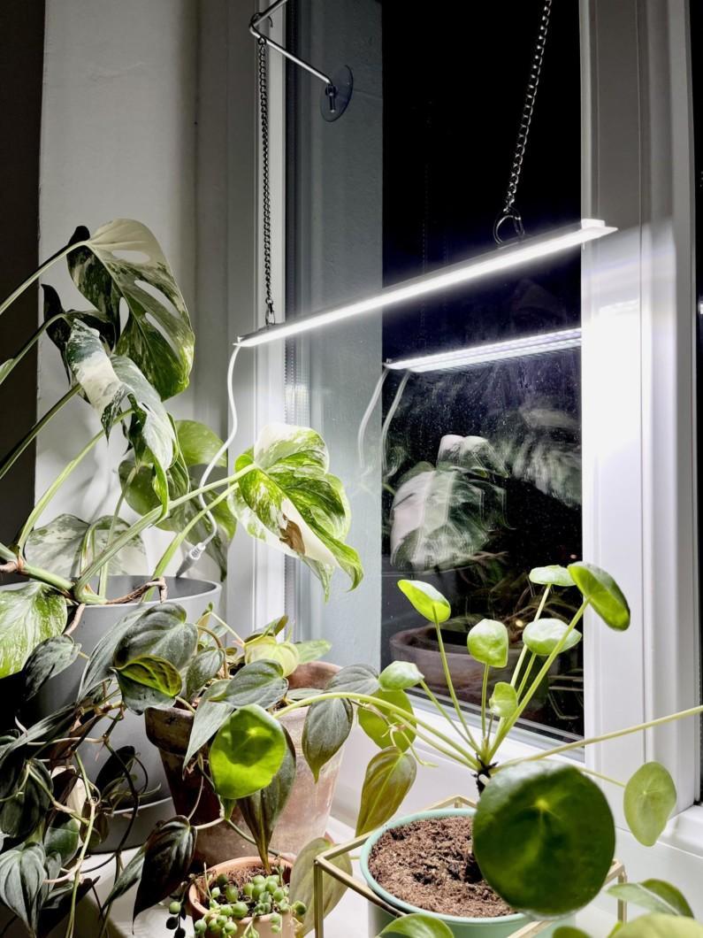 grow light bar for plants LED Grow Light Bar – Seedor
