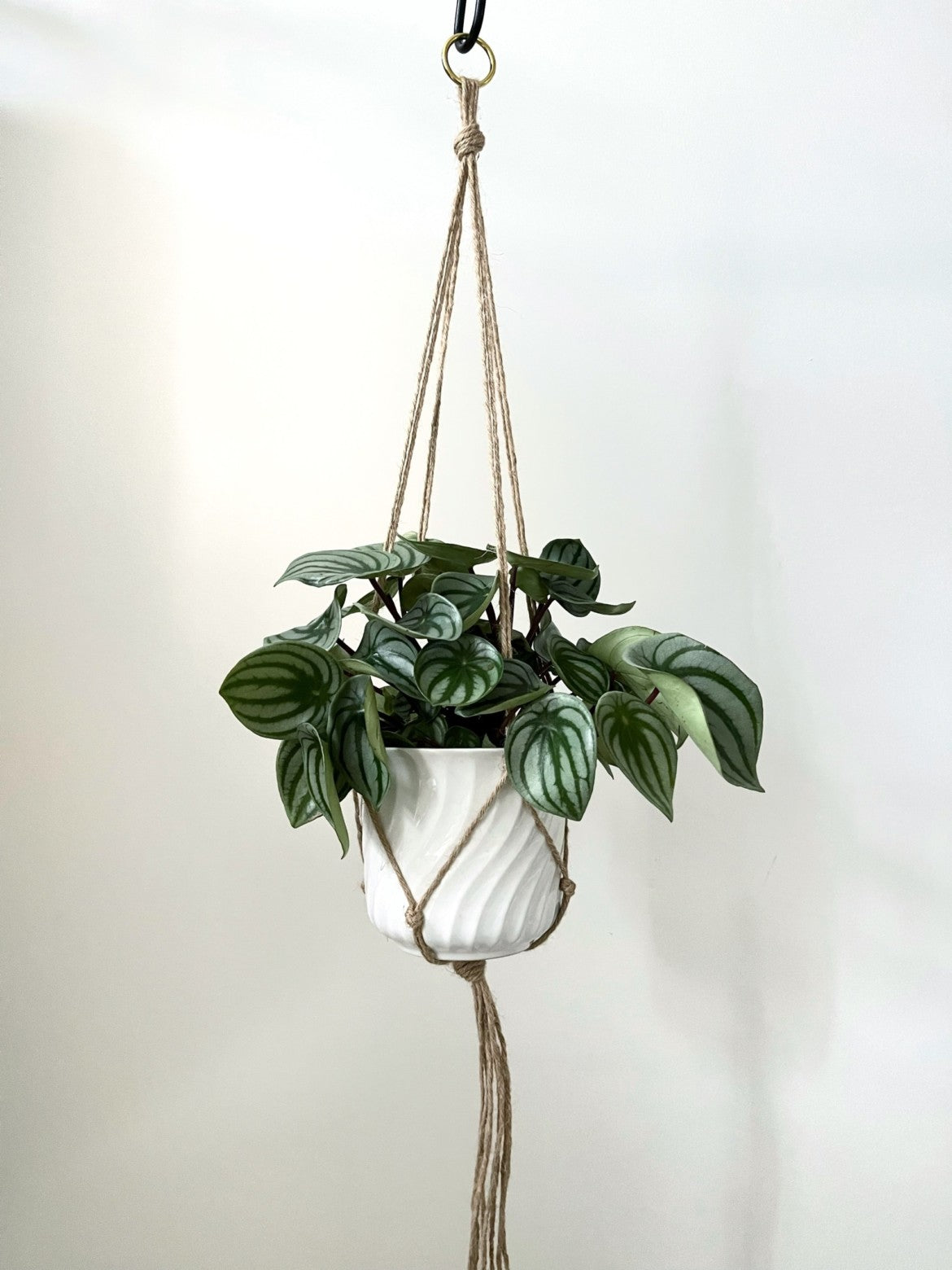 jute hanging plant holder Jute Macrame Plant Hanger – Seedor