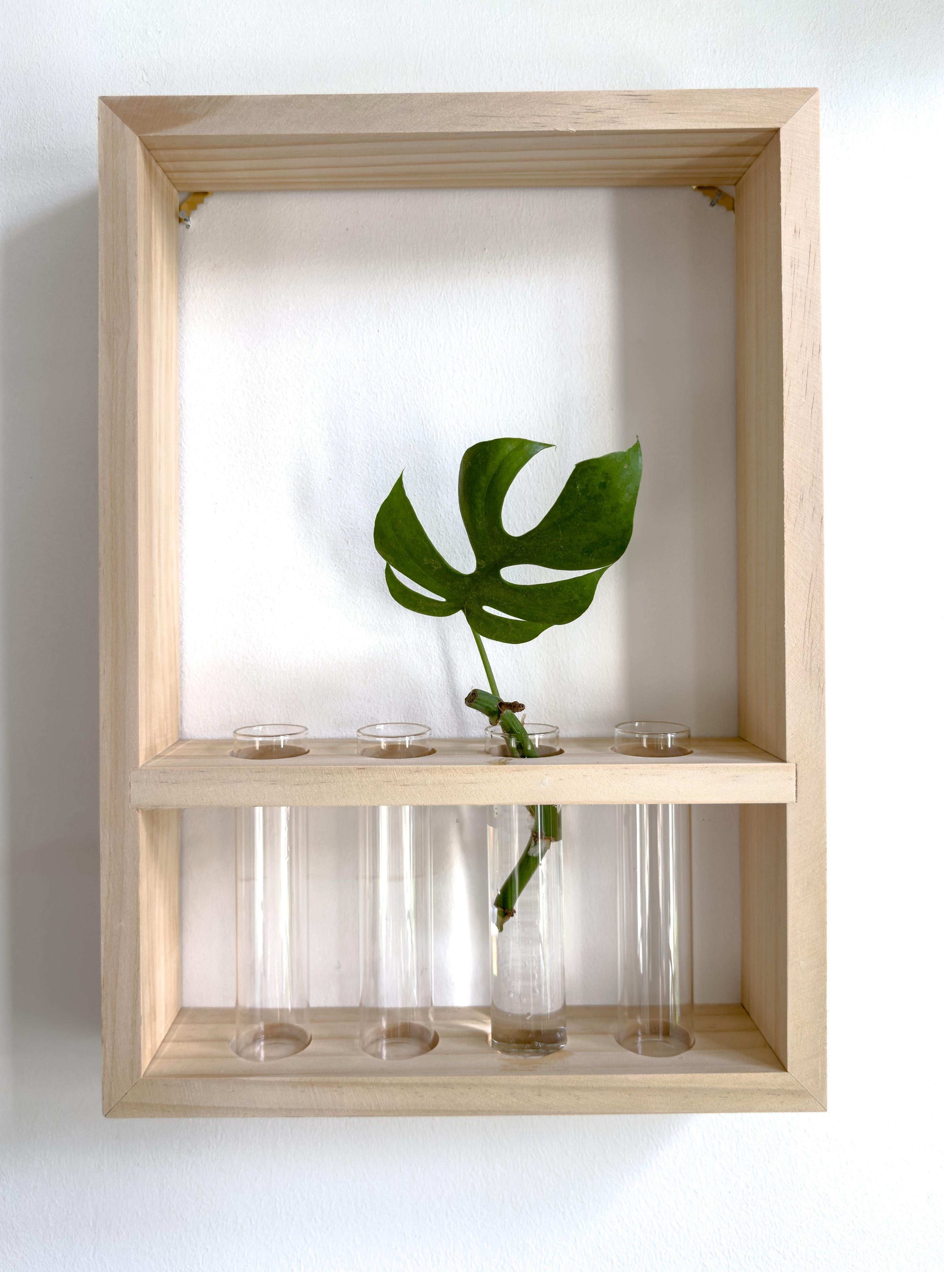Plant propagation frame