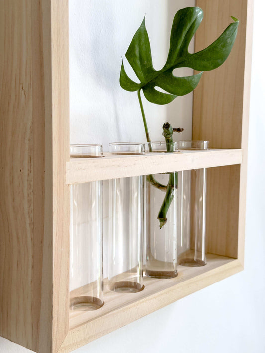 Plant propagation frame