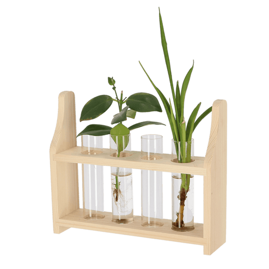 Plant propagation stand