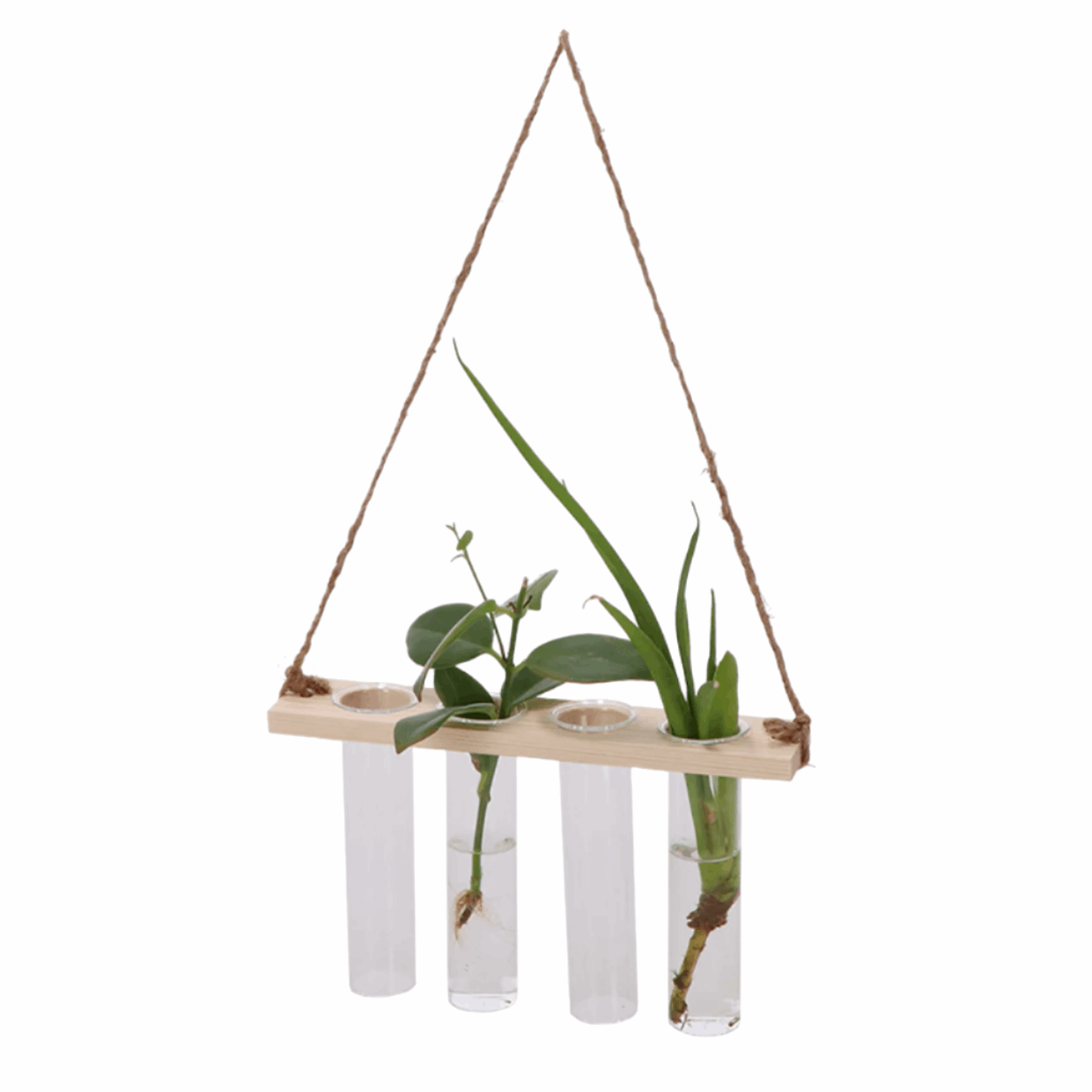 Plant propagation hanger