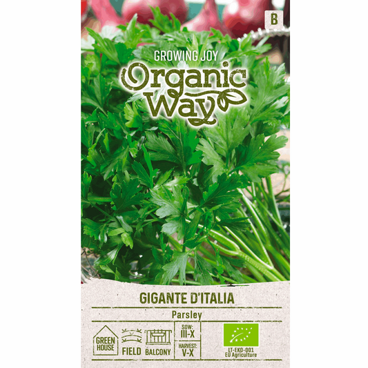 Parsley Plain - Organic - Seedor