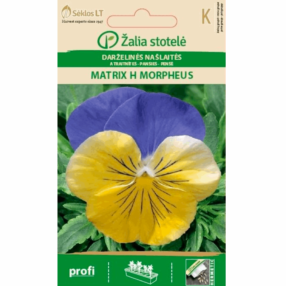Pansy Yellow and Blue - Seedor