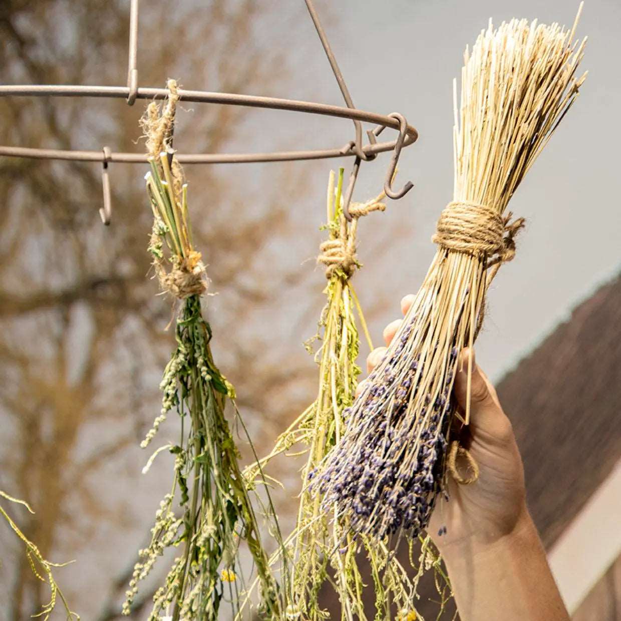 Drying Rack for Flowers and Herbs - Seedor