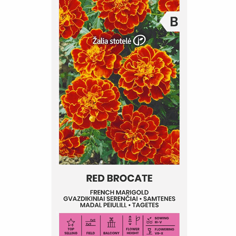 French Marigold - Red Brocate - Seedor