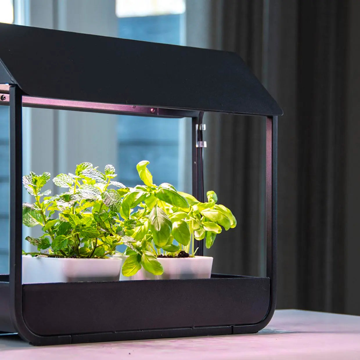 Greenhouse with Grow Light - Seedor