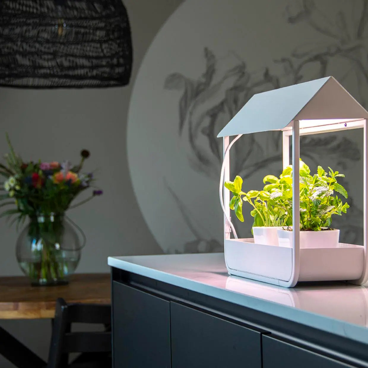 Greenhouse with Grow Light - Seedor