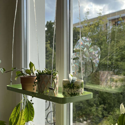 indoor hanging window planter Hanging Tray for Plants – Seedor