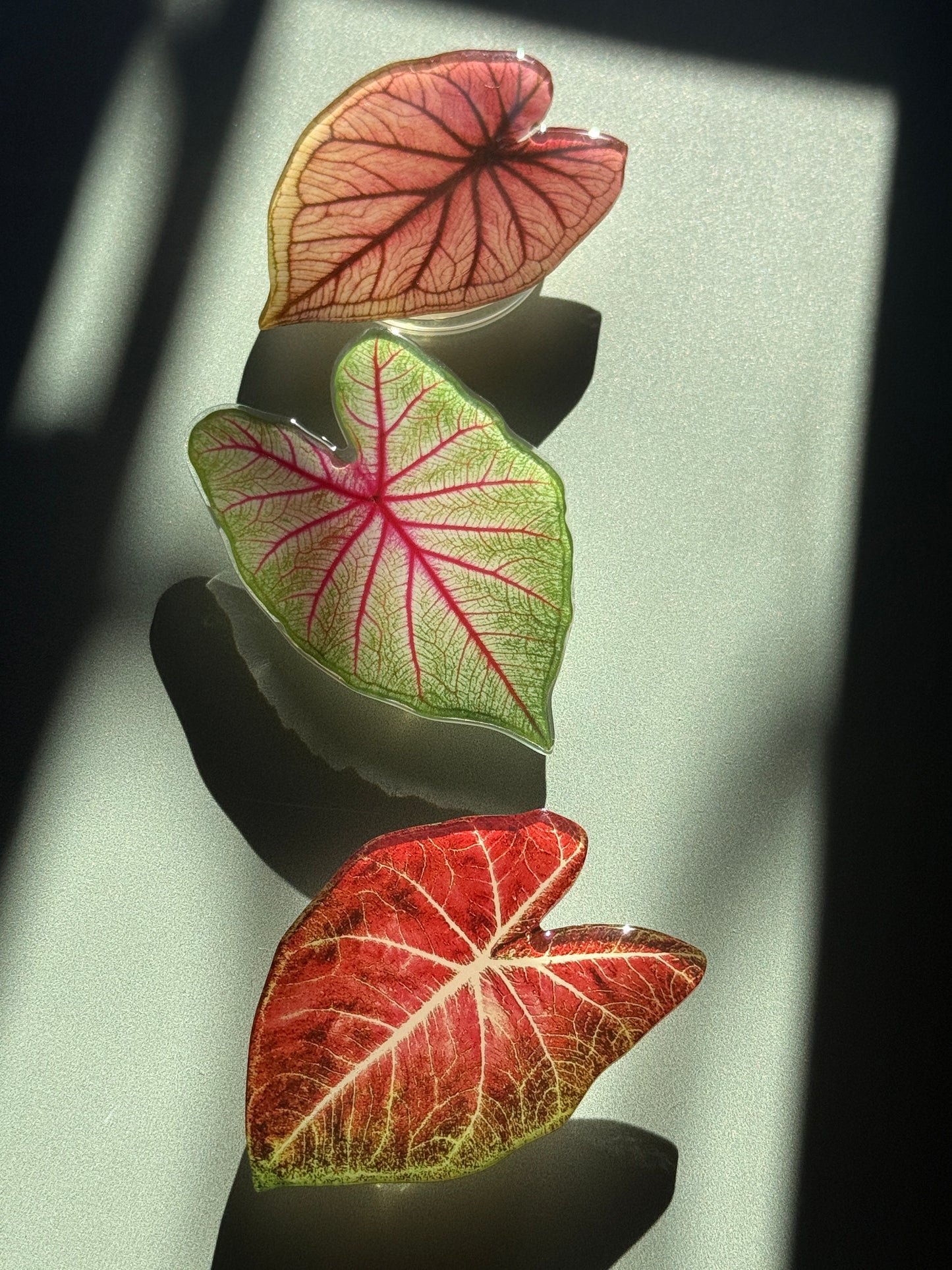 Plant Phone Grip